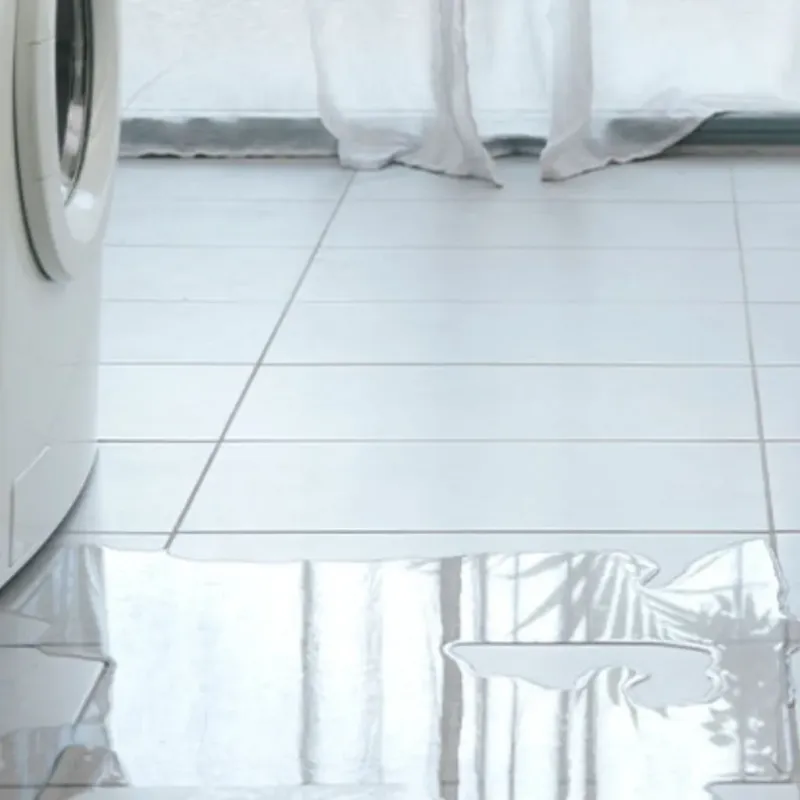 Appliance Leak Cleanup in Columbus, WI