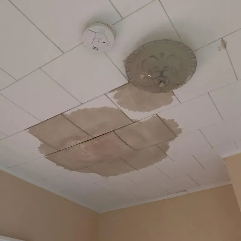 Ceiling Water Damage Repair in Columbus, WI