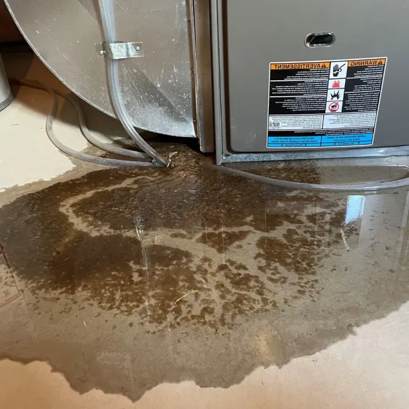 Pipe Burst and Leak Restoration in Columbus, WI